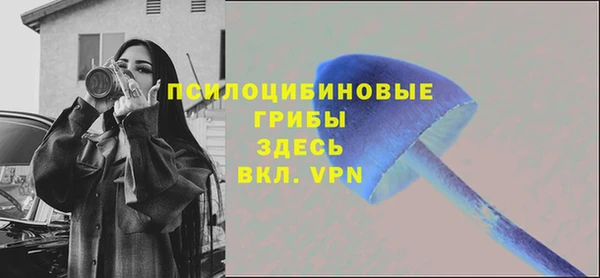 сатива Тайга