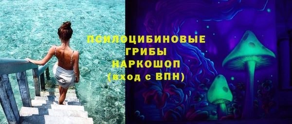 гашик Баксан