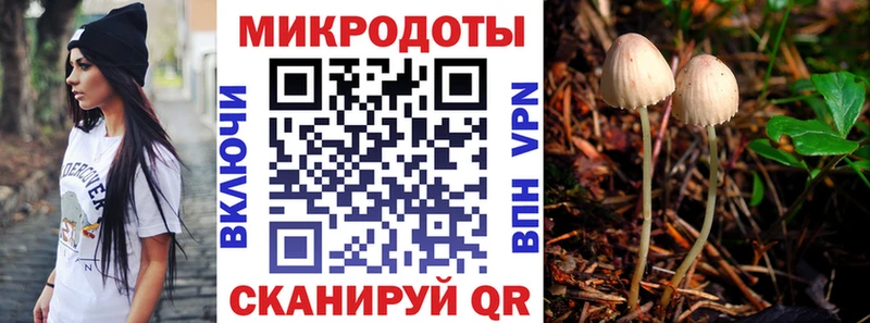 дарнет шоп  blacksprut tor  Галлюциногенные грибы Psilocybe  Пласт 