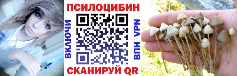 Псилоцибиновые грибы MAGIC MUSHROOMS Пласт